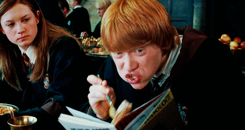 Read Harry Potter GIF via Giphy