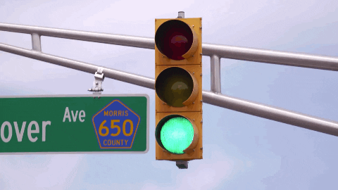 Traffic Light Chaos GIF By The Moms via Giphy